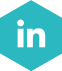 ceriops-linkedin