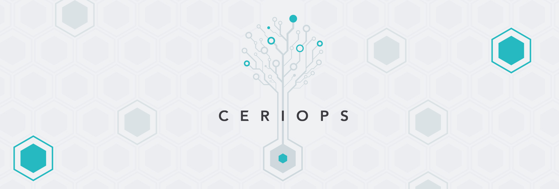 ceriops-solutions-industrie-agile-slider-01