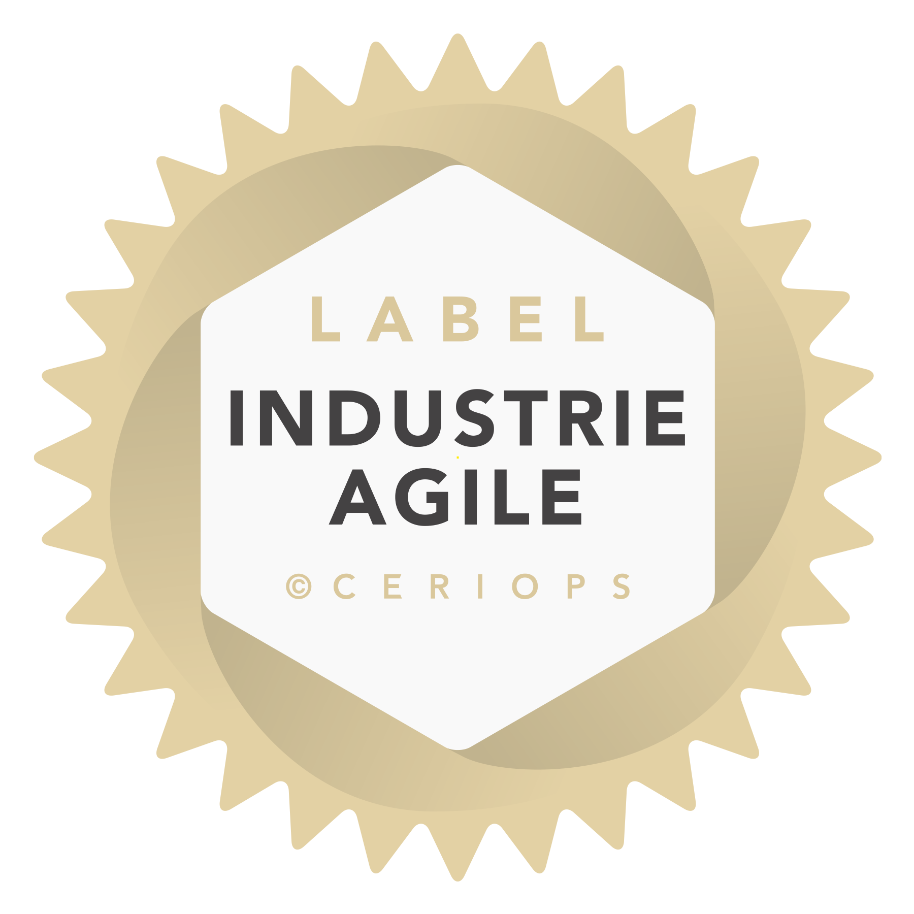 CERIOPS-INDUSTRIE-AGILE-logo-OR